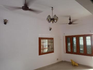 Sector-41 Noida, New Delhi, Delhi - Garden