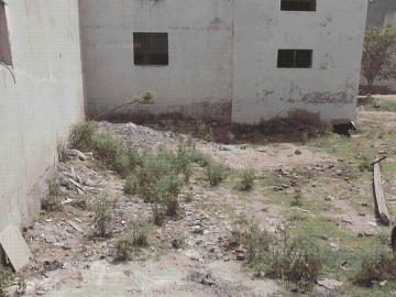 8 BHK Independent House in Sector 64 for resale Faridabad. The reference number is 19695226