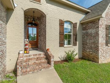 8 Canyon Oak