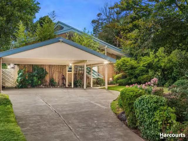 8 Domino Court, WHEELERS HILL, VIC 3150 House for Rent