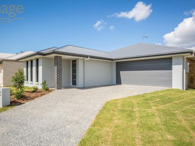 8 Dryander Street
