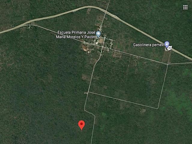 8 Hect?reas en San Bernardino Sey? a 20 minutos de Merida