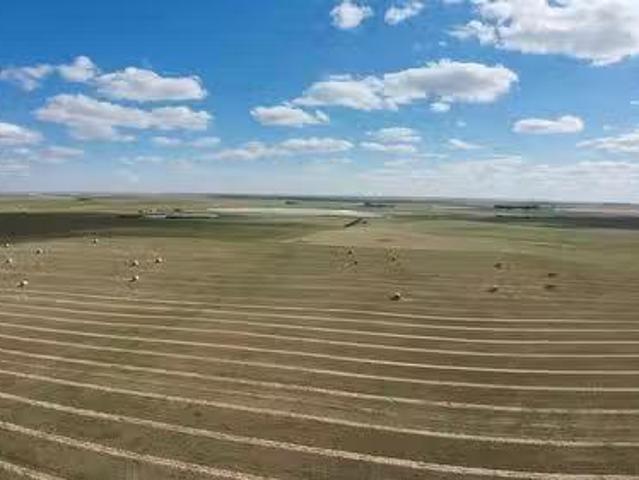 8 Quarters Of Grain Farmland In Rm 168 Riverside, Riverside Rm.