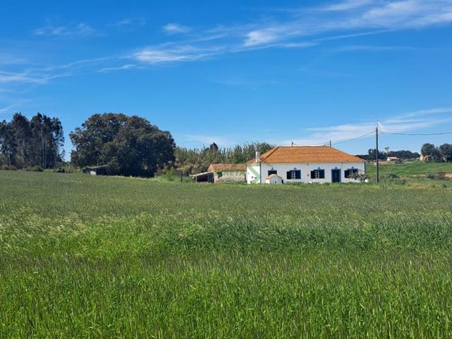 8 quarto, Beja Odemira 7630 105198282