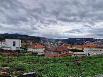 8 quarto, Fafe Fafe 102859334