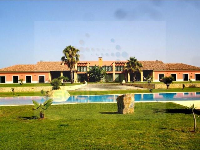 8 quarto, Palmela Palmela 104859064