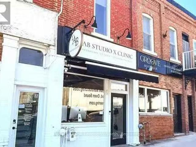 8 Sykes Street N, Meaford, ON, N4L 1V6 commercial for sale.