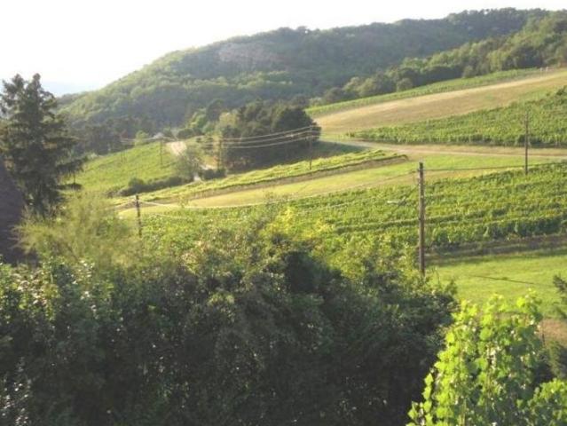8 Schlafzimmer Haus Niederösterreich Niederösterreich 103615018