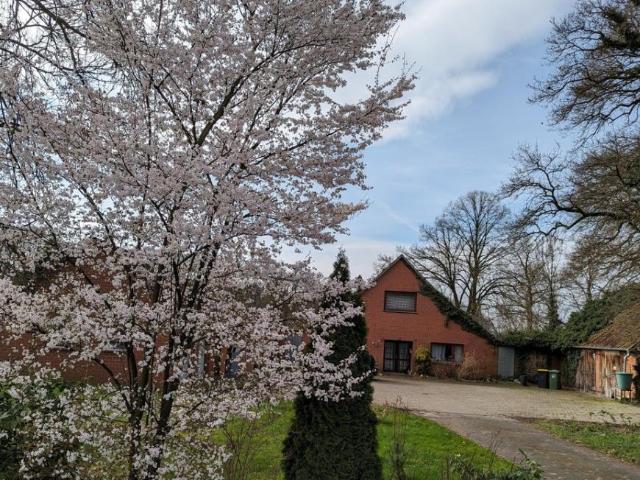 8 Schlafzimmer Haus Hude Deutschland 103569898
