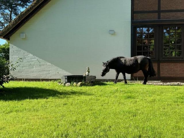 8 Schlafzimmer Haus Winsen Luhdorf Deutschland 102758398
