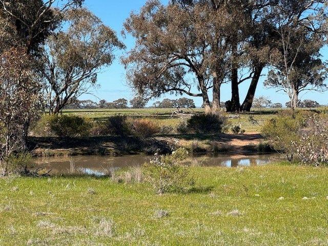 8 TITLES 428 ACRES BUSHLAND & GRAZING OPPORTUNITY!