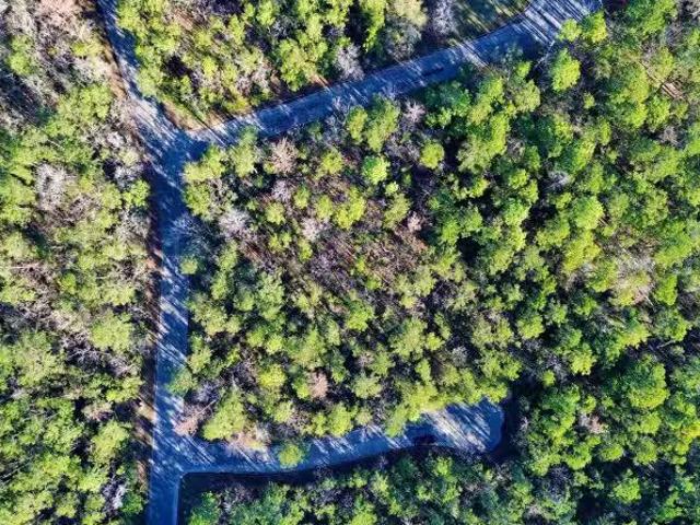 8 Walnut Ct, Huntsville, TX 77320 MLS 49744524