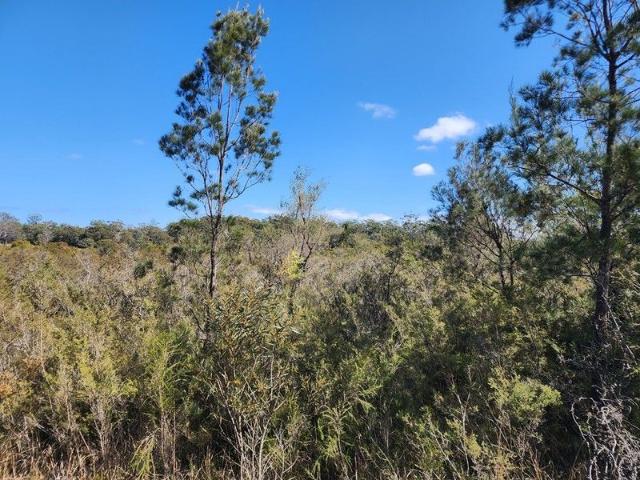 Create Your Dream Retreat on 8.08 Hectares Peace, Privacy & Potential