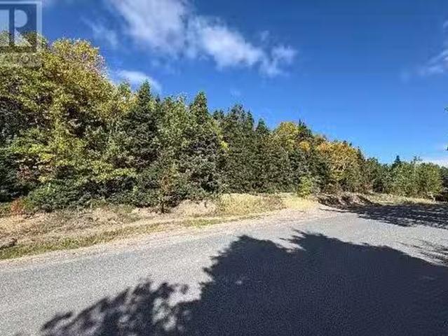 8 10 Peters Cove Road, Bunyans Cove, NL, A0C 1E0 vacant land.