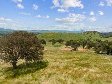 8.5 acres with Buller views in town!