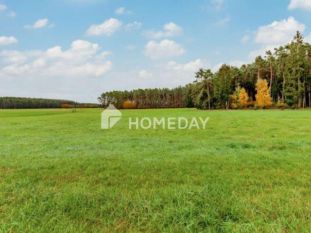 8,79 ha: Großflächiges Areal für Landwirtschaft, Forst und Neugestaltung