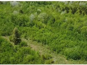 93A Junction Road, Springhill, NS, B0M 1X0 vacant land for s.