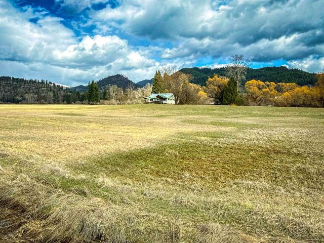 901 Skookum Creek Rd, Usk, WA 99180 | MLS #202615