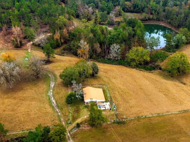 9023 County Road 34, Millry, US, AL