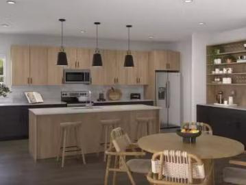 Dallas County, Texas, Texas, USA - Garden