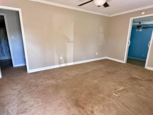 904 Irene Ave