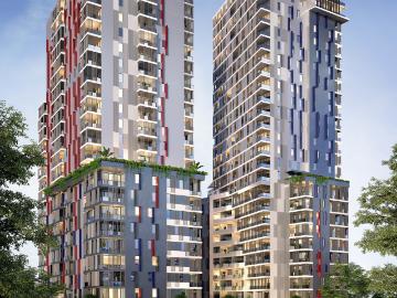 Shark Point, Clarence, Tasmania, Penguin Island, Cloudy Bay, Kingborough, Tasmania Island