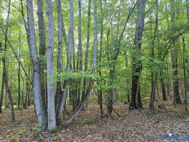 906 Equestrian Trail Rd, New Canton, VA 23123 | MLS #668816