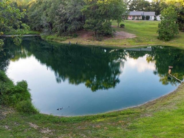 907 Early Walden Rd
