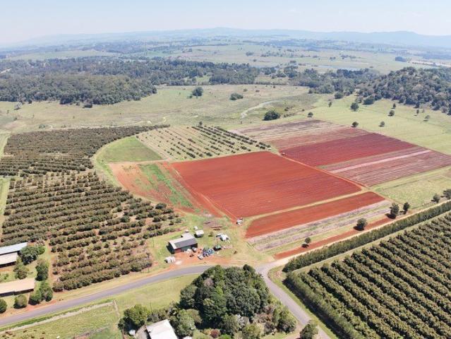 90 ACRES OF RICH RED SOIL, HOME, 2 SHEDS + 100 MEG WATER!