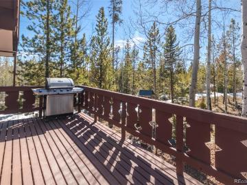 90 Gcr 4945, Grand Lake, CO 80447 | MLS #9341