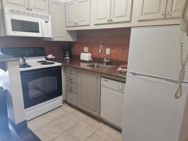90 Loon Mountain Road # 1303 C