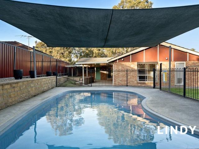 910SQM WITH POOL. SINGLETON HEIGHTS