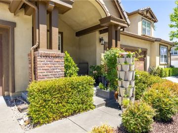 9135 Arbol Del Rosal Way