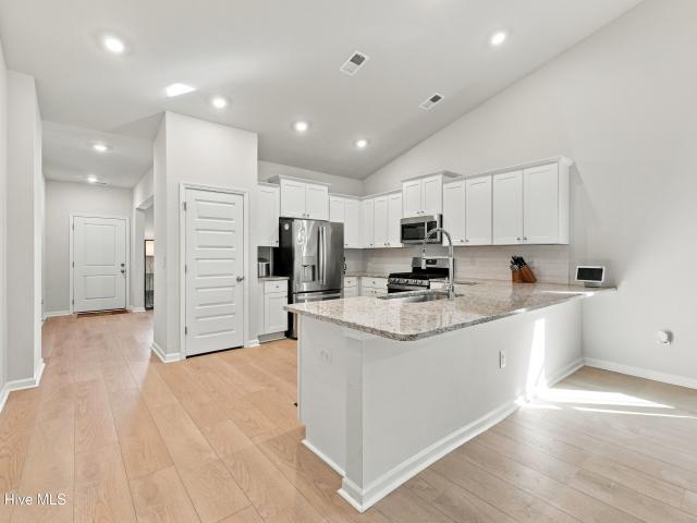 9133 Little Osprey Drive # Lot 209