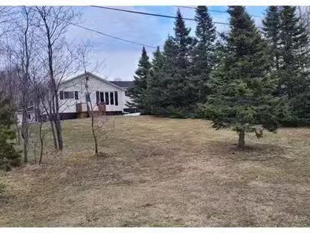 91 Trans Canada Highway, Appleton, NL, A0G 2K0 commercial fo.