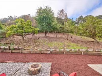 San Benito County, California, USA - Garden