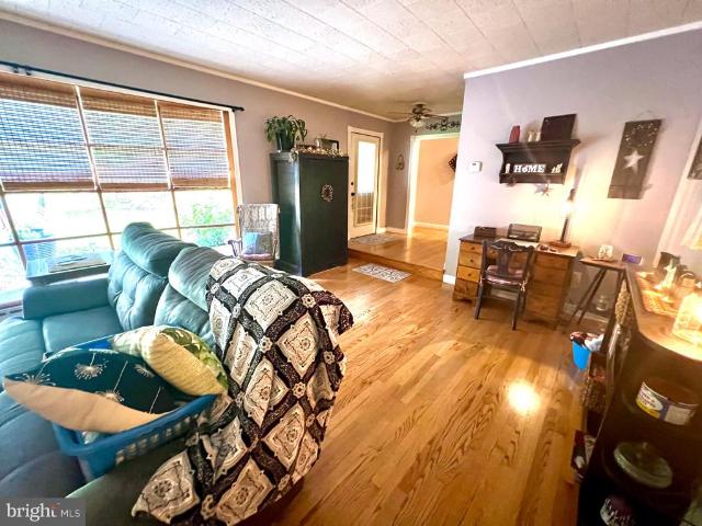 91 Fawn Road