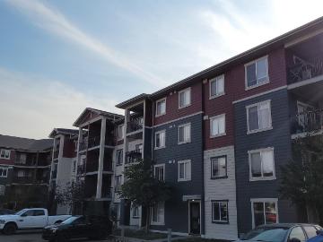 920 156 102 [object Promise] for Rent