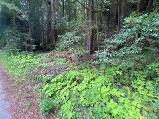 925 CAZADERO HWY, CAZADERO, CA 95421