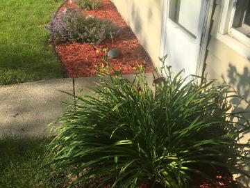 925 N 43rd Street, 3 beds, 1 full bath