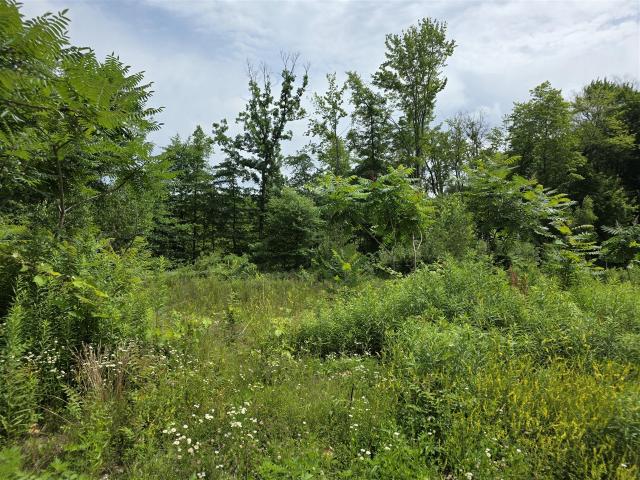 9285 Sassafras Trail # 78