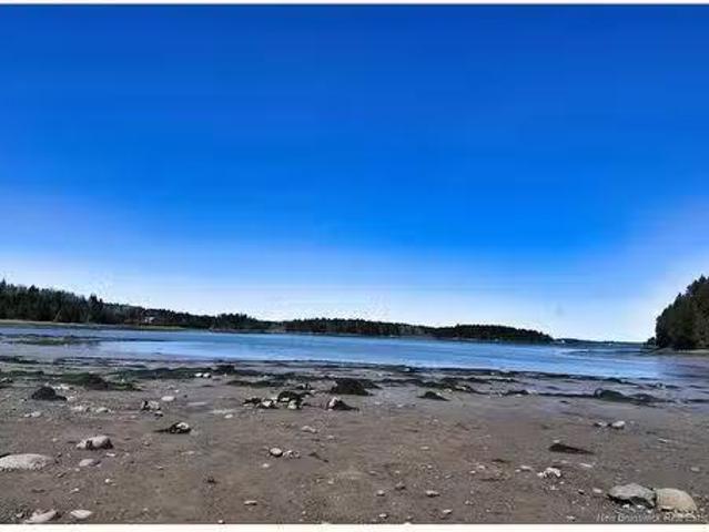 929 Route 774, Welshpool, NB, E5E 1B1 vacant land for sale.