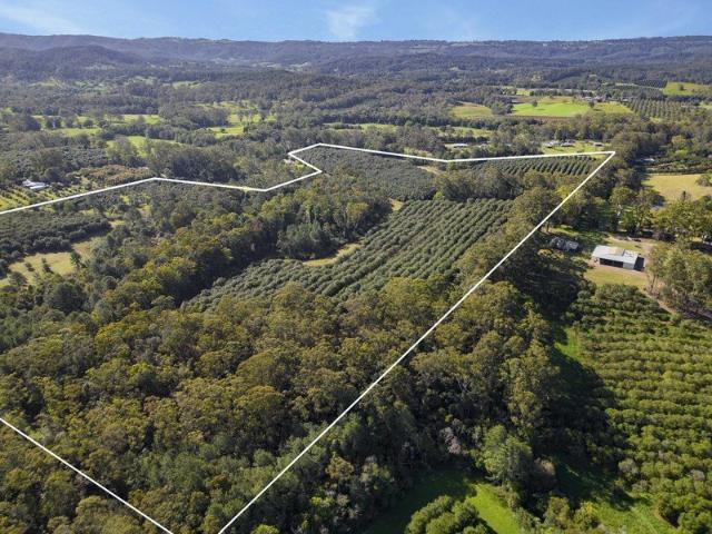 92.7 Acres of Rural Paradise with Endless Potential