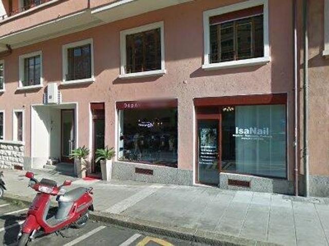92 m2 apartment for rent in Geneva EAUX VIVES