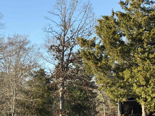 931 County Road 1627, Rusk, TX 75785 | MLS #26002