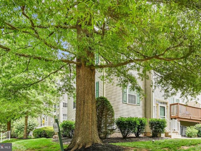 932 Muhlenberg Drive # 1505