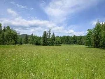937 Clearwater Village Road, Clearwater, BC, V0E 1N1 vacant.