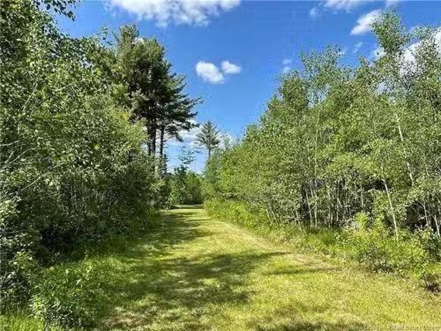 9386 11 Rte, Saint Margarets, NB, E1N 5C5 vacant land for sa.