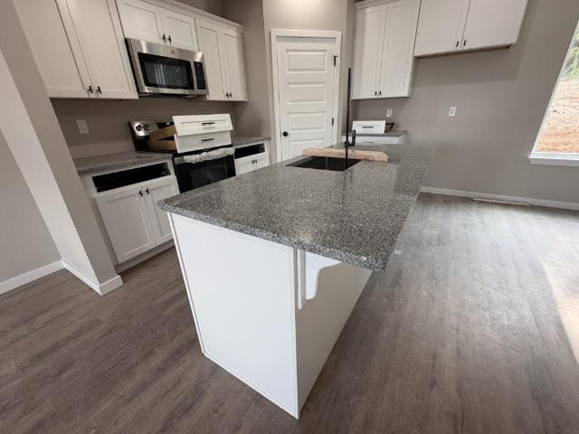 939 Holstein Lane