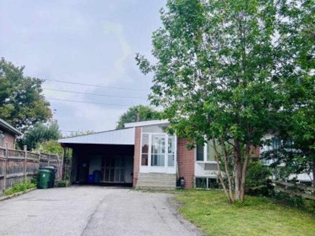 97 Tourmaline Drive, Toronto, ON, M1T 1X1 house for lease | Listing ID E13751 | Royal LePage